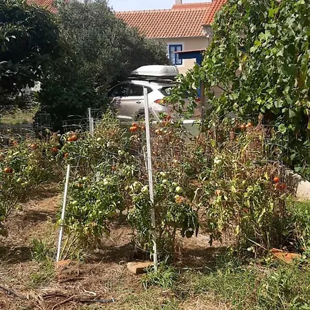 Beko I Dada * Olib